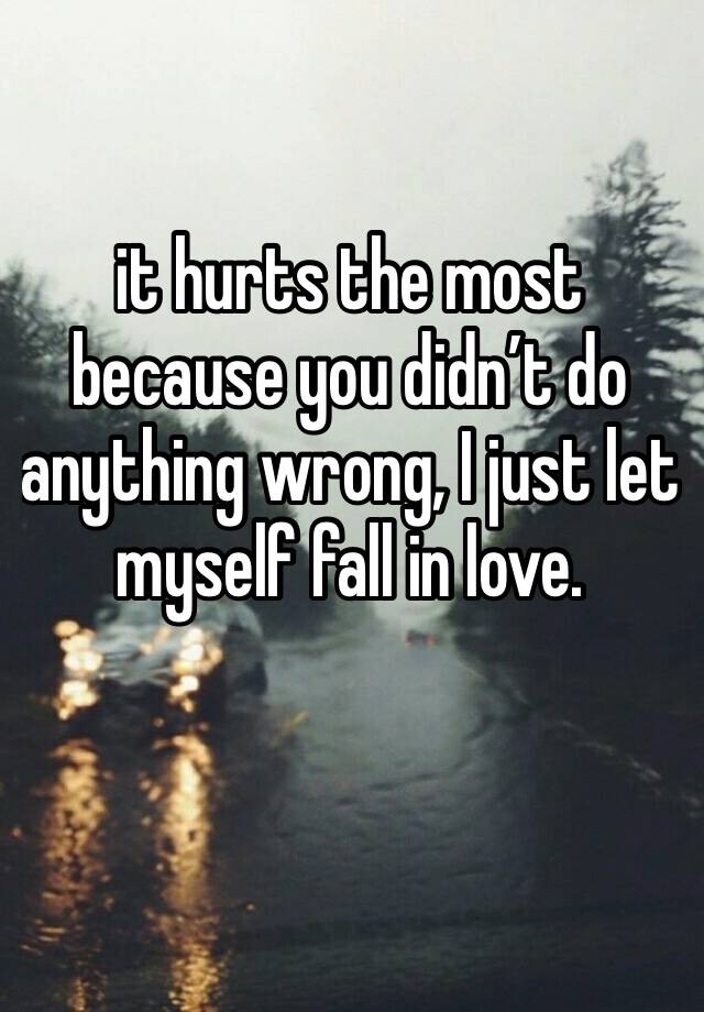 it hurts the most because you didn’t do anything wrong, I just let myself fall in love.