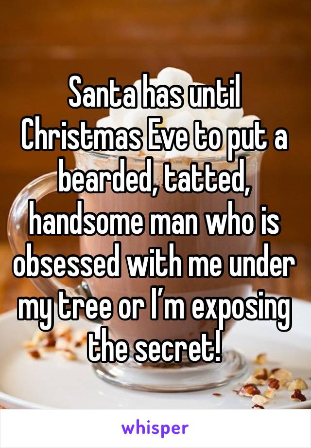 Santa has until Christmas Eve to put a bearded, tatted, handsome man who is obsessed with me under my tree or I’m exposing the secret! 