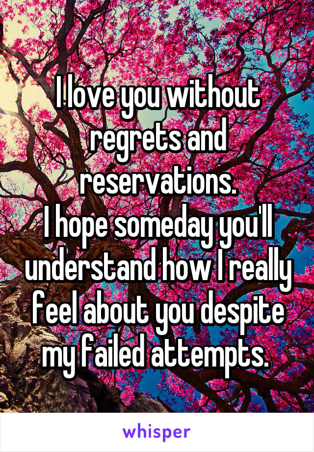 I love you without regrets and reservations.
I hope someday you'll understand how I really feel about you despite my failed attempts. 