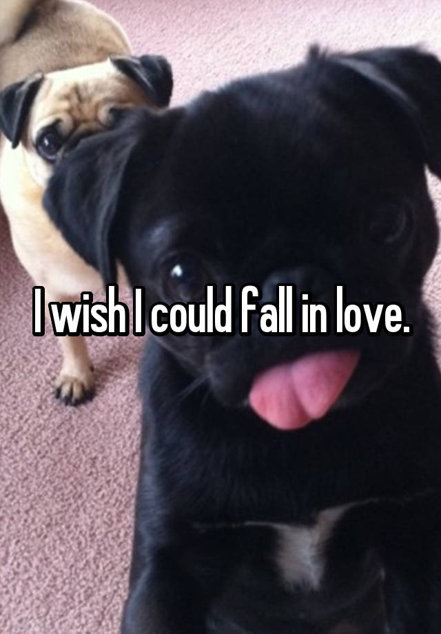 I wish I could fall in love.