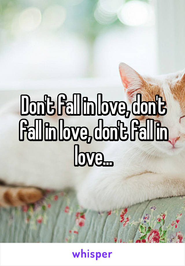 Don't fall in love, don't fall in love, don't fall in love...