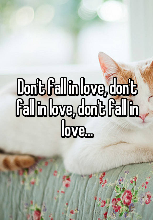 Don't fall in love, don't fall in love, don't fall in love...