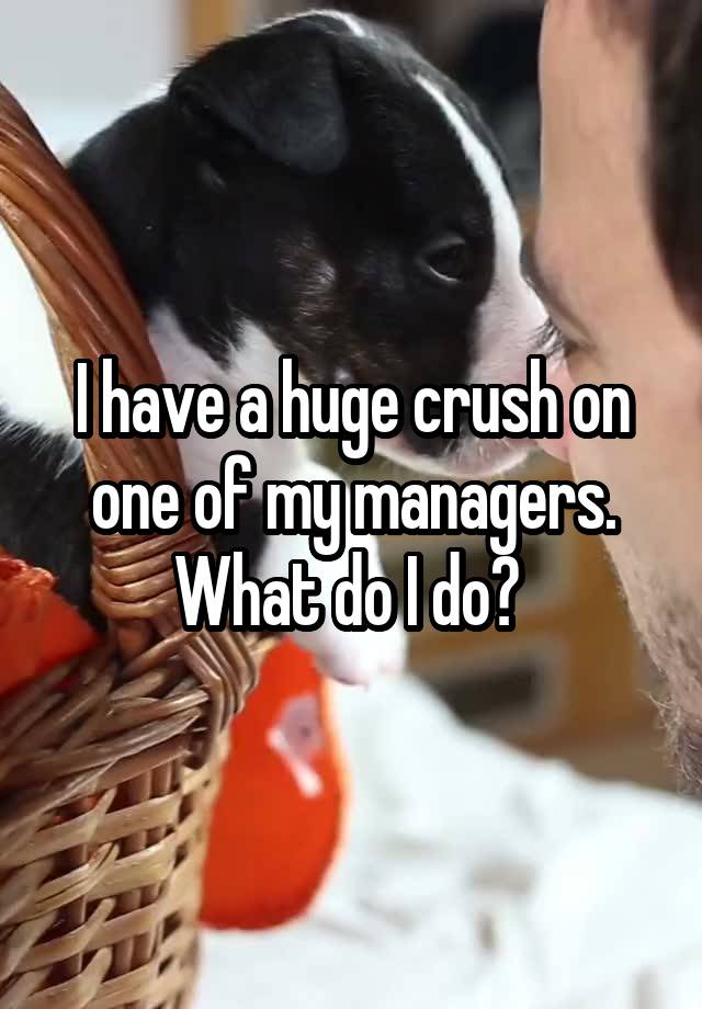 I have a huge crush on one of my managers. What do I do? 