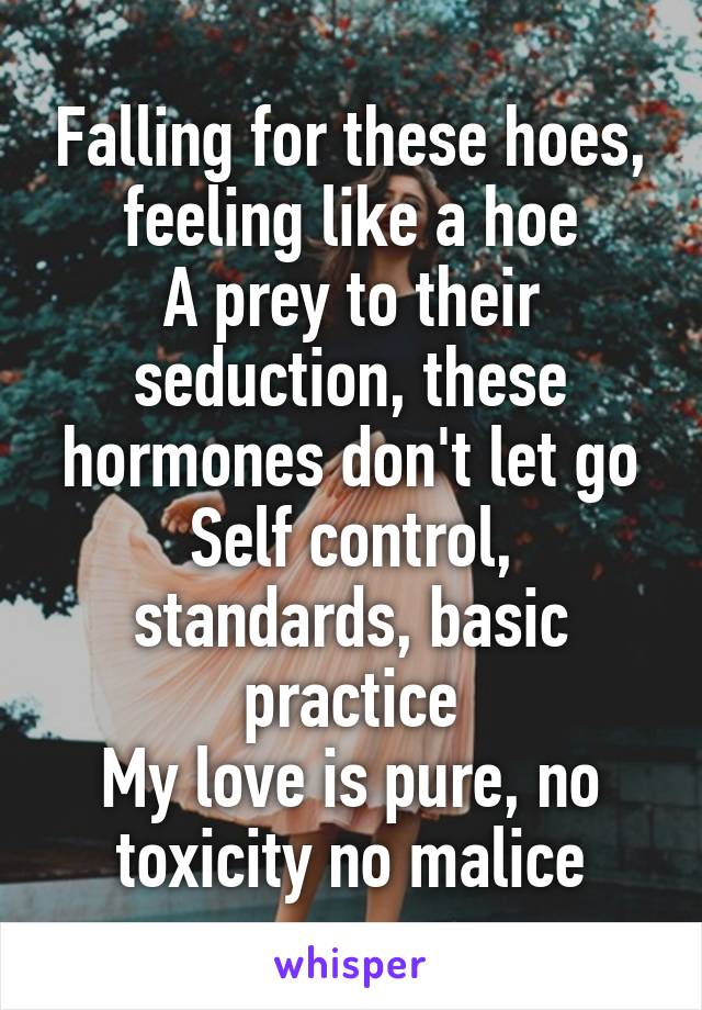 Falling for these hoes, feeling like a hoe
A prey to their seduction, these hormones don't let go
Self control, standards, basic practice
My love is pure, no toxicity no malice