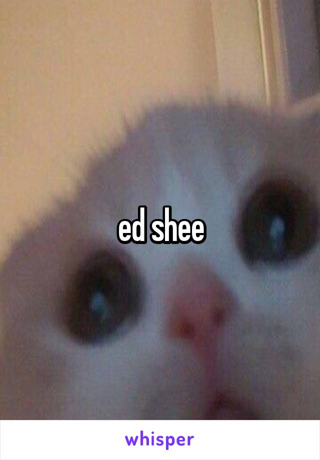 ed shee