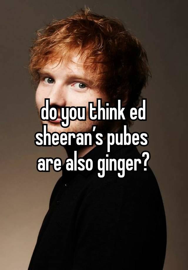 do you think ed sheeran’s pubes 
are also ginger?