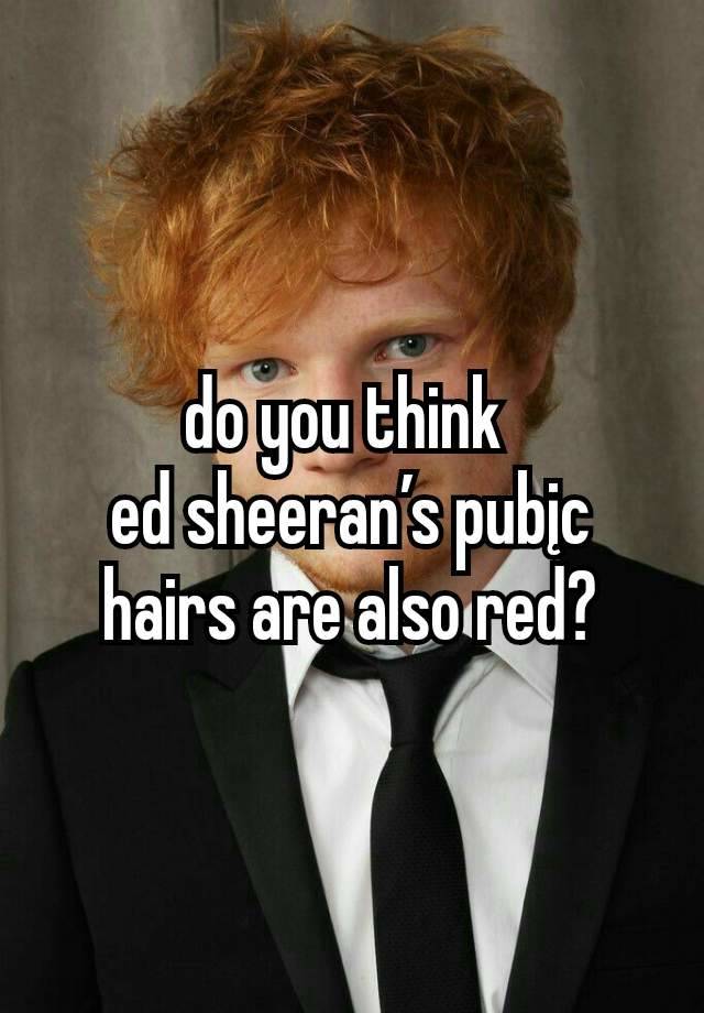 do you think 
ed sheeran’s pubįc hairs are also red?