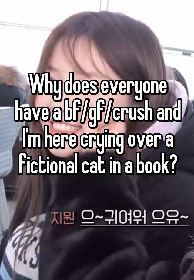 Why does everyone have a bf/gf/crush and I'm here crying over a fictional cat in a book?
