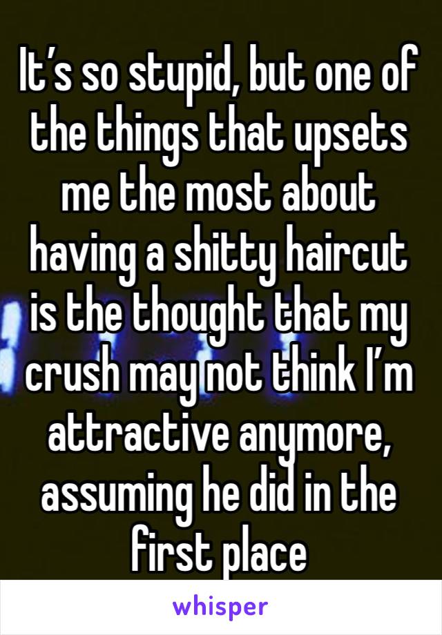 It’s so stupid, but one of the things that upsets me the most about having a shitty haircut is the thought that my crush may not think I’m attractive anymore, assuming he did in the first place