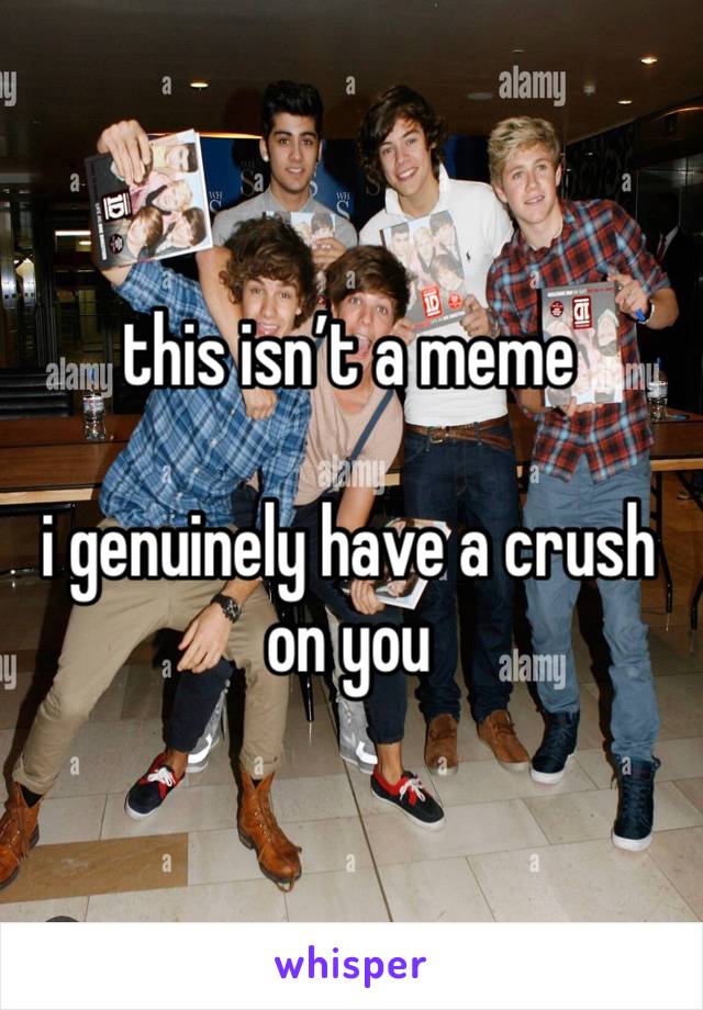 this isn’t a meme

i genuinely have a crush on you