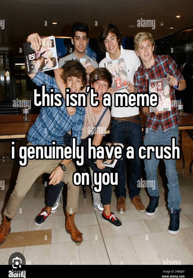 this isn’t a meme

i genuinely have a crush on you