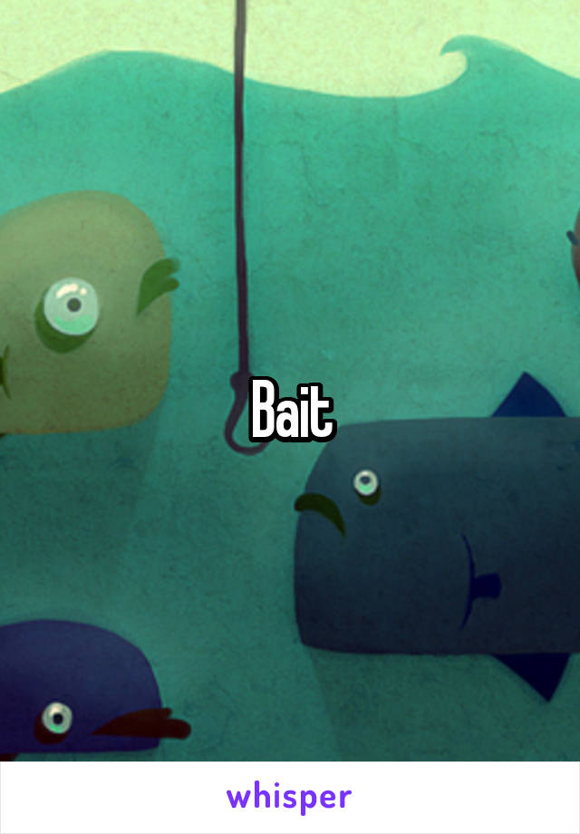 Bait