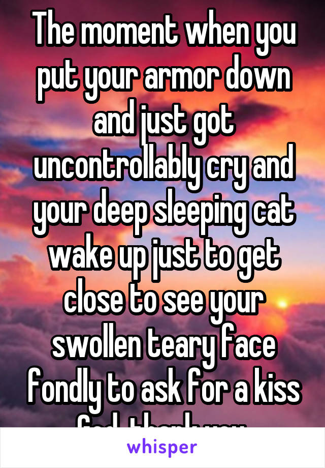 The moment when you put your armor down and just got uncontrollably cry and your deep sleeping cat wake up just to get close to see your swollen teary face fondly to ask for a kiss
God, thank you 