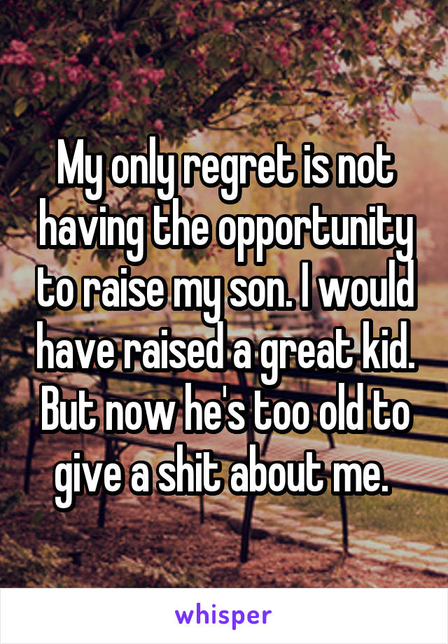 My only regret is not having the opportunity to raise my son. I would have raised a great kid. But now he's too old to give a shit about me. 