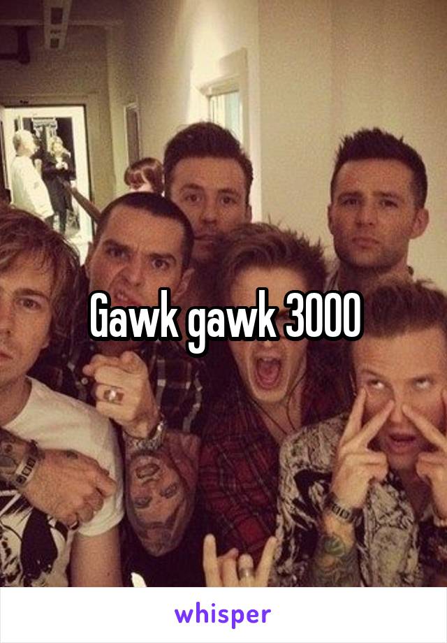 Gawk gawk 3000