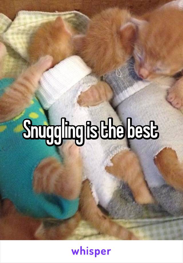 Snuggling is the best 