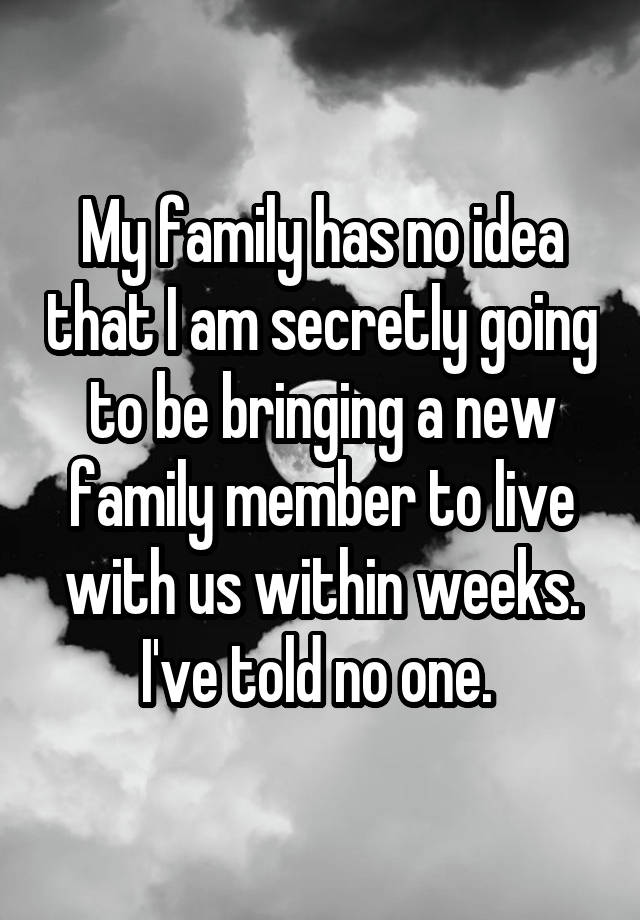 My family has no idea that I am secretly going to be bringing a new family member to live with us within weeks. I've told no one. 