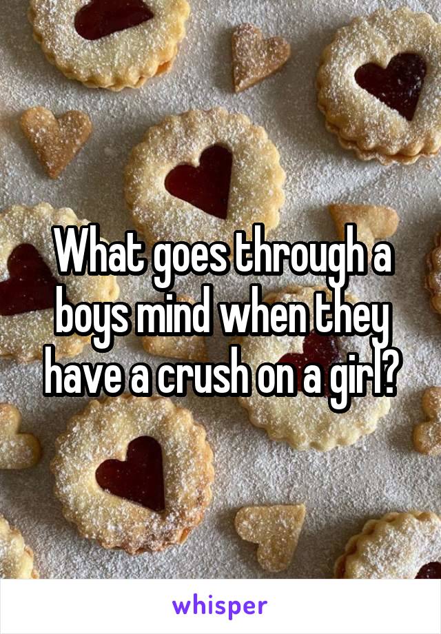 What goes through a boys mind when they have a crush on a girl?