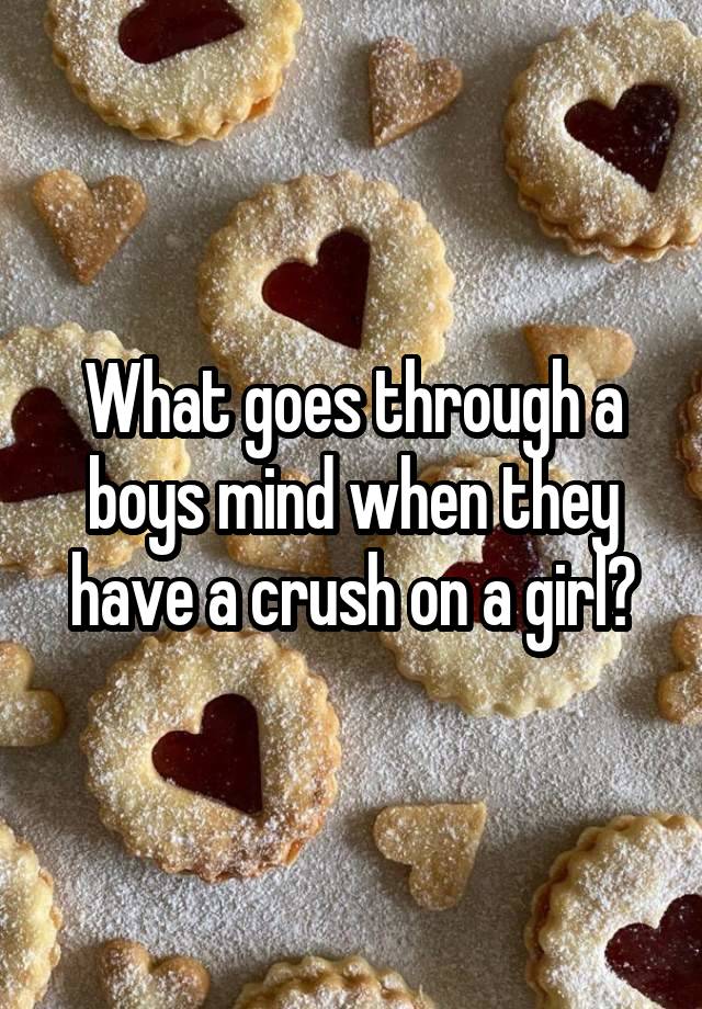 What goes through a boys mind when they have a crush on a girl?