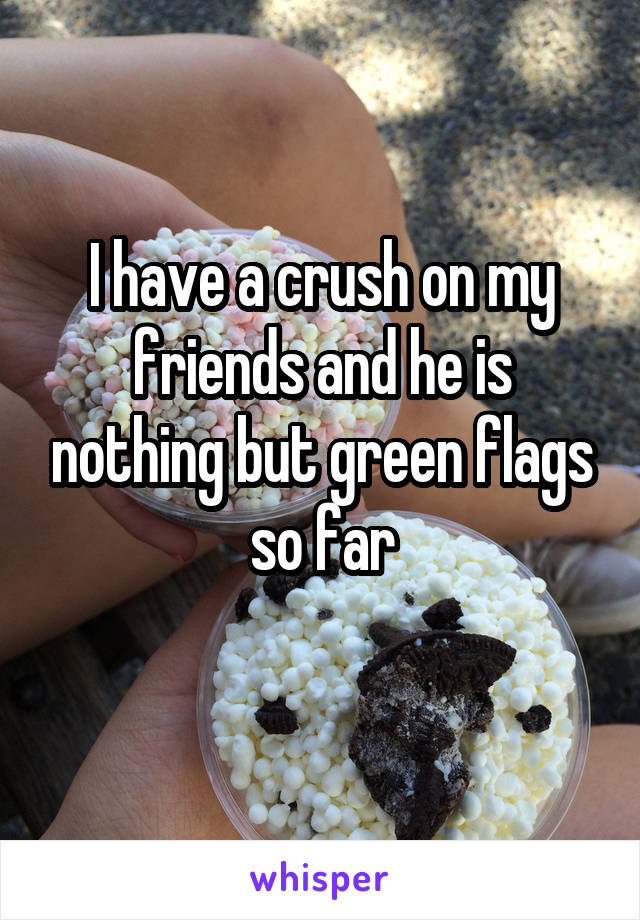 I have a crush on my friends and he is nothing but green flags so far
