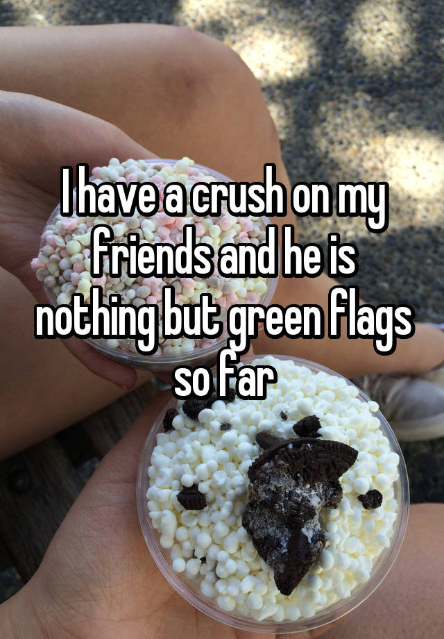 I have a crush on my friends and he is nothing but green flags so far
