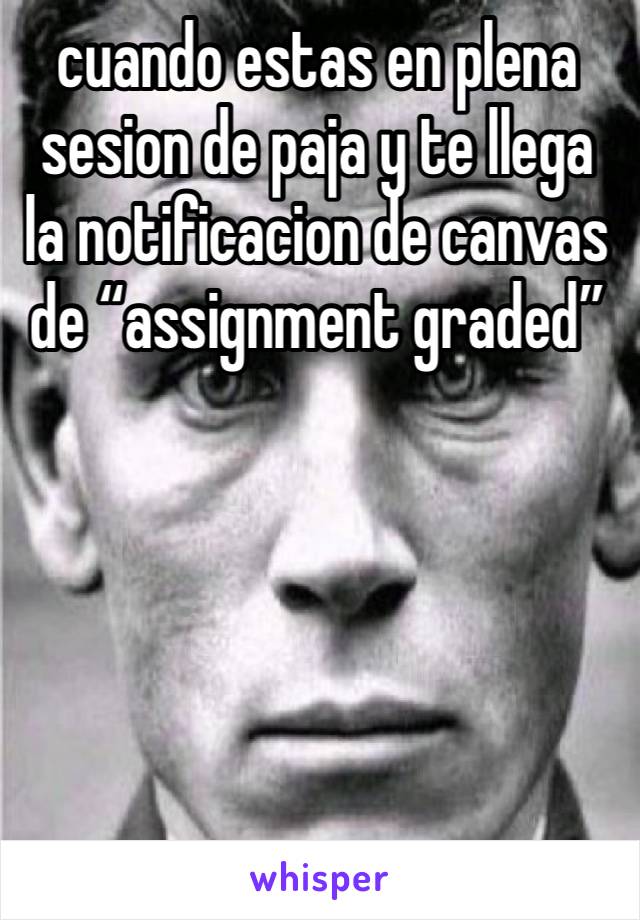 cuando estas en plena sesion de paja y te llega la notificacion de canvas de “assignment graded”





