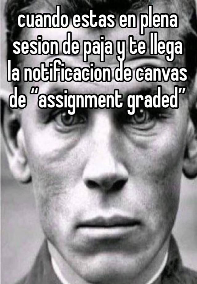 cuando estas en plena sesion de paja y te llega la notificacion de canvas de “assignment graded”





