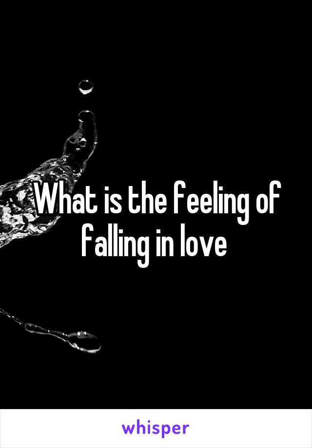 What is the feeling of falling in love 