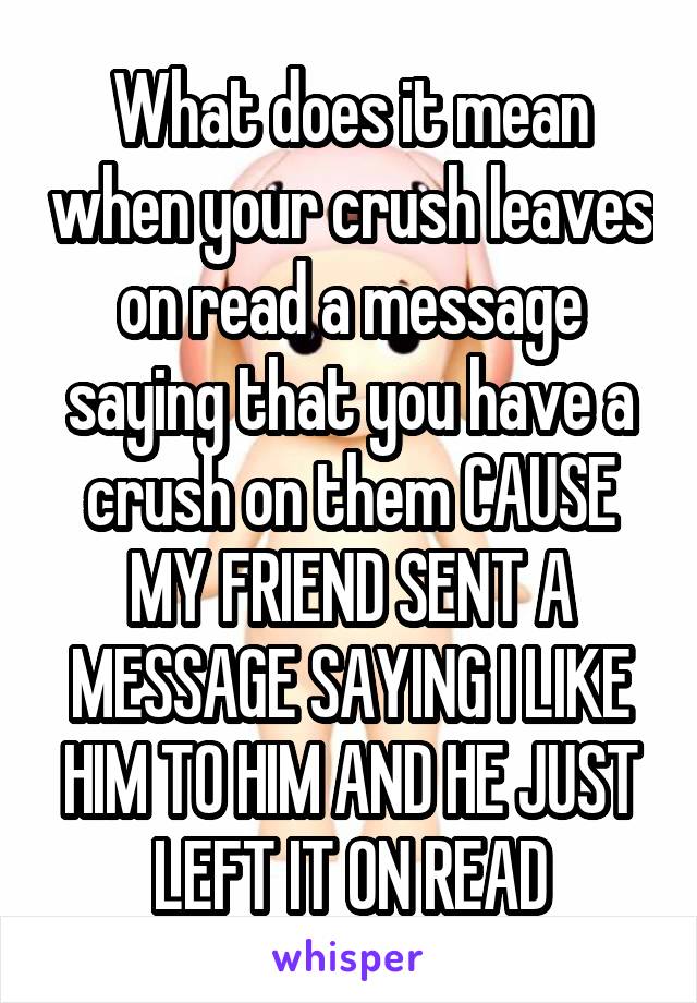 What does it mean when your crush leaves on read a message saying that you have a crush on them CAUSE MY FRIEND SENT A MESSAGE SAYING I LIKE HIM TO HIM AND HE JUST LEFT IT ON READ