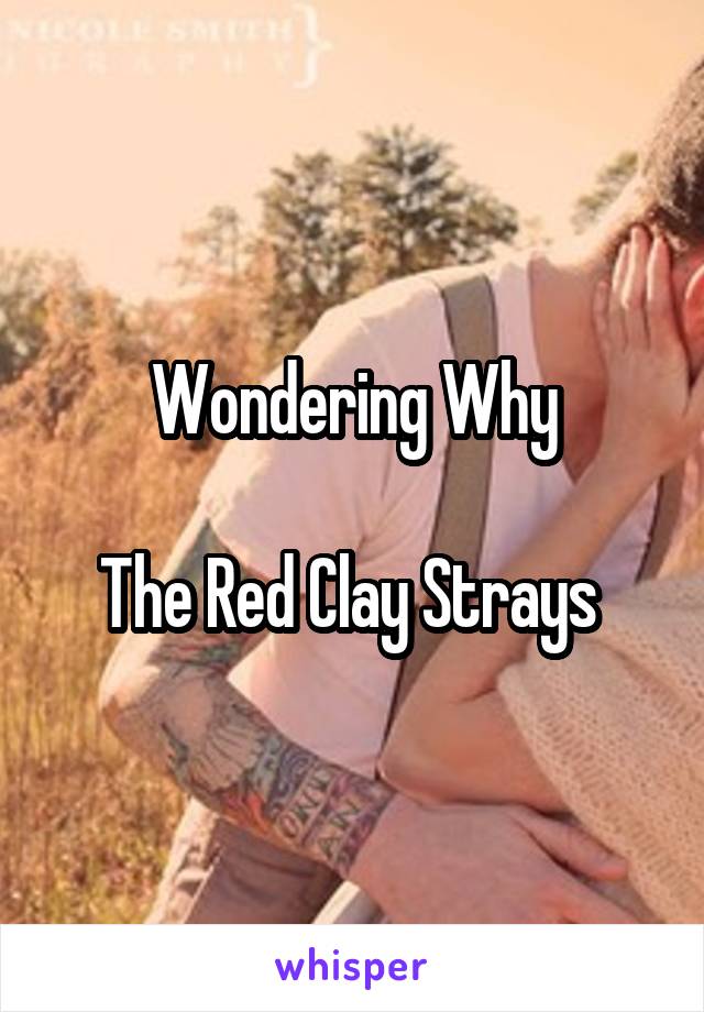 Wondering Why

The Red Clay Strays 