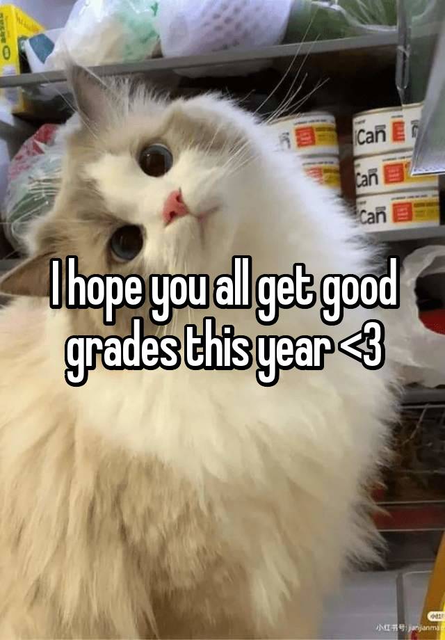 I hope you all get good grades this year <3