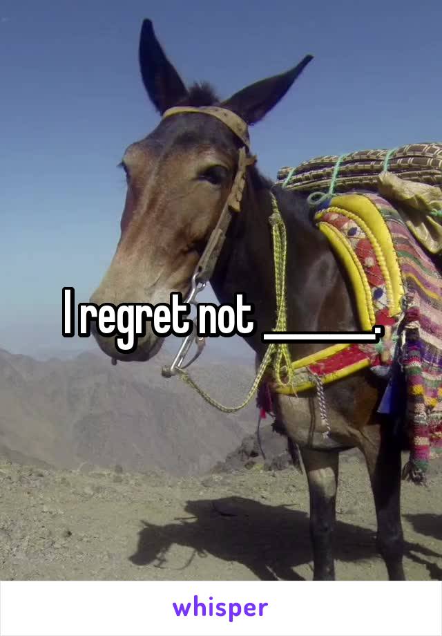 I regret not _______.