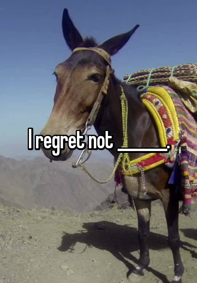 I regret not _______.