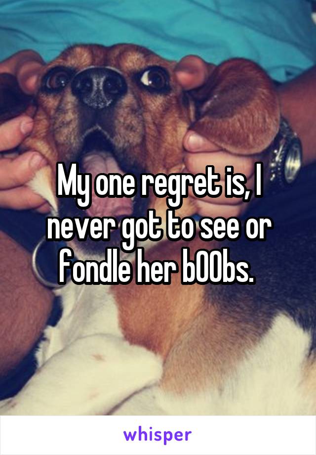 My one regret is, I never got to see or fondle her b00bs. 