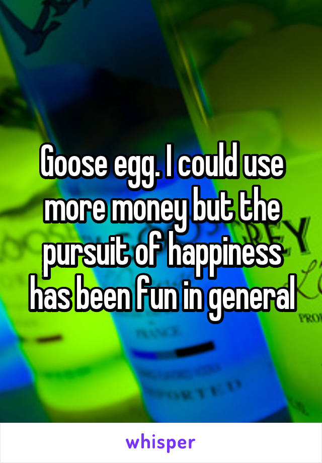 Goose egg. I could use more money but the pursuit of happiness has been fun in general