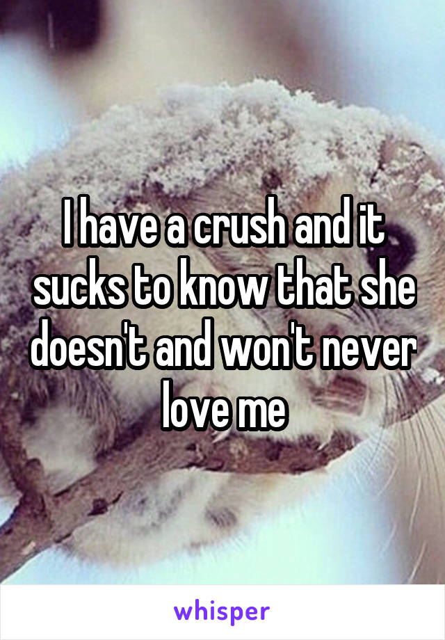 I have a crush and it sucks to know that she doesn't and won't never love me