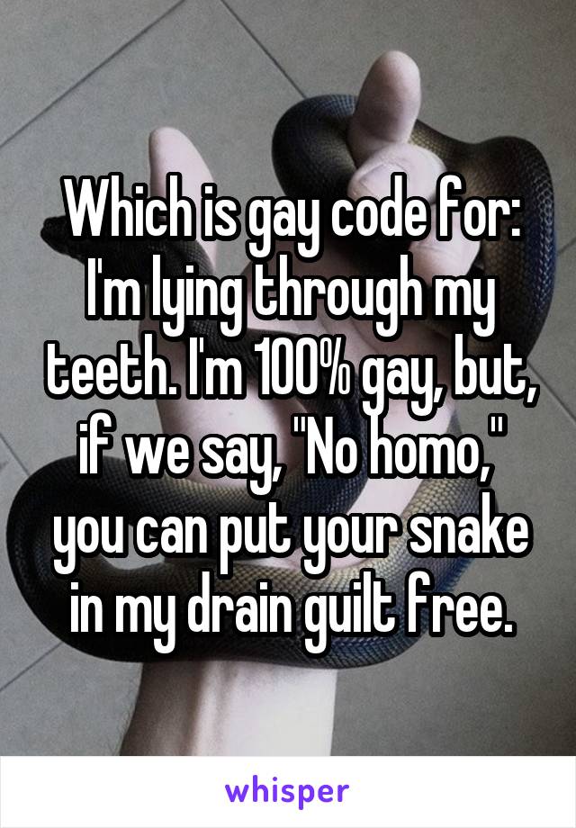 Which is gay code for: I'm lying through my teeth. I'm 100% gay, but, if we say, "No homo," you can put your snake in my drain guilt free.