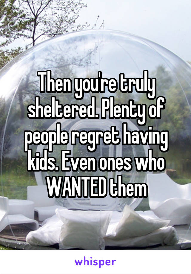 Then you're truly sheltered. Plenty of people regret having kids. Even ones who WANTED them