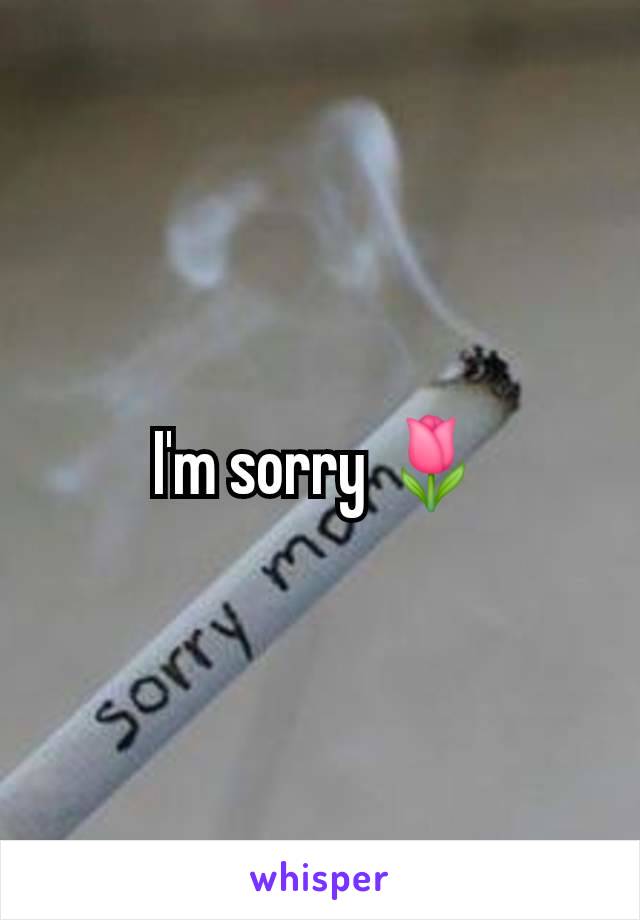 I'm sorry 🌷