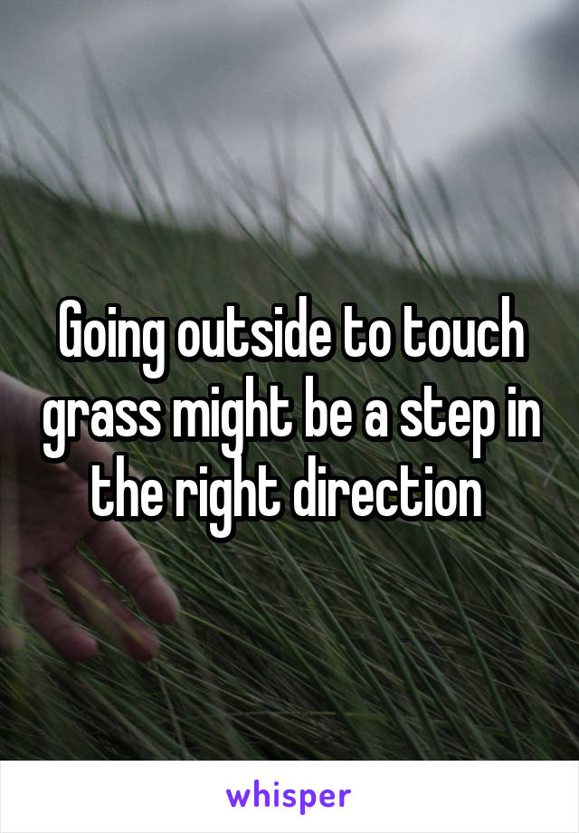 Going outside to touch grass might be a step in the right direction 