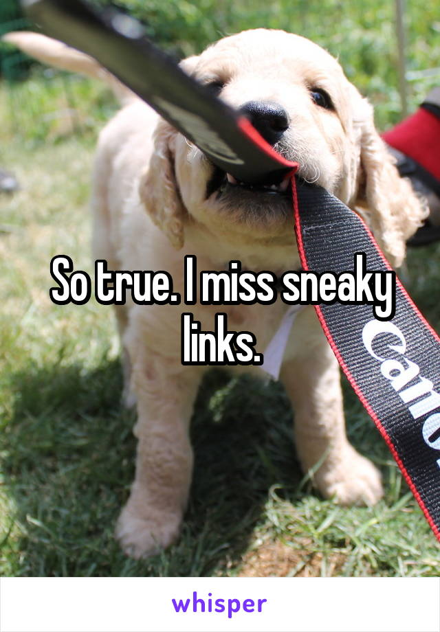 So true. I miss sneaky links.