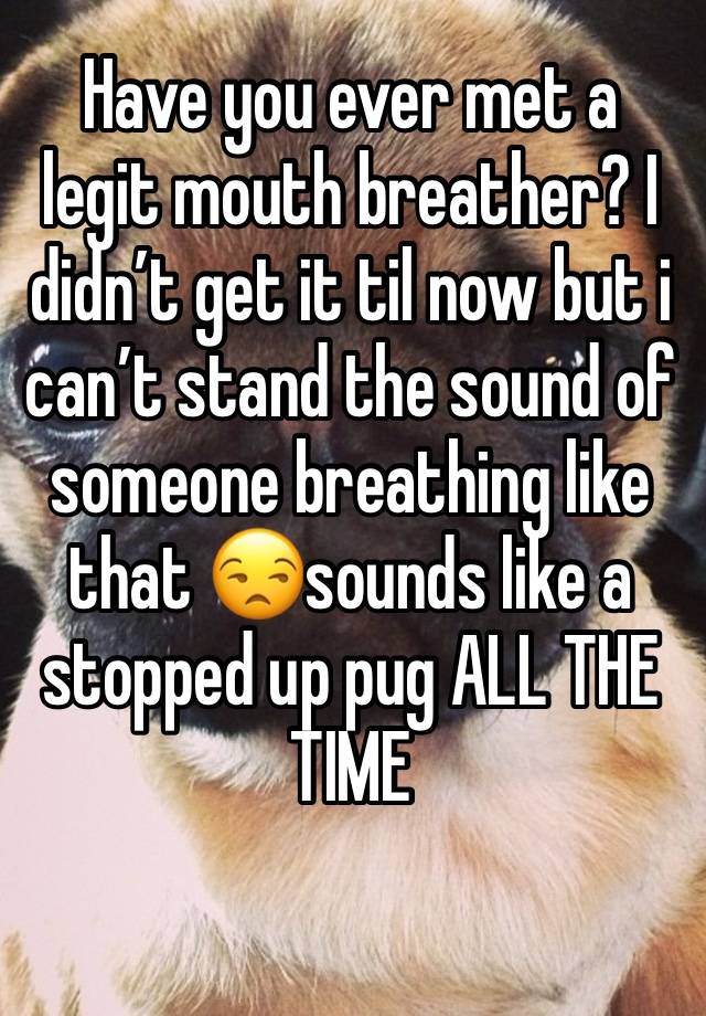 Have you ever met a legit mouth breather? I didn’t get it til now but i can’t stand the sound of someone breathing like that 😒sounds like a stopped up pug ALL THE TIME 
