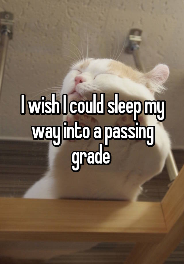 I wish I could sleep my way into a passing grade 