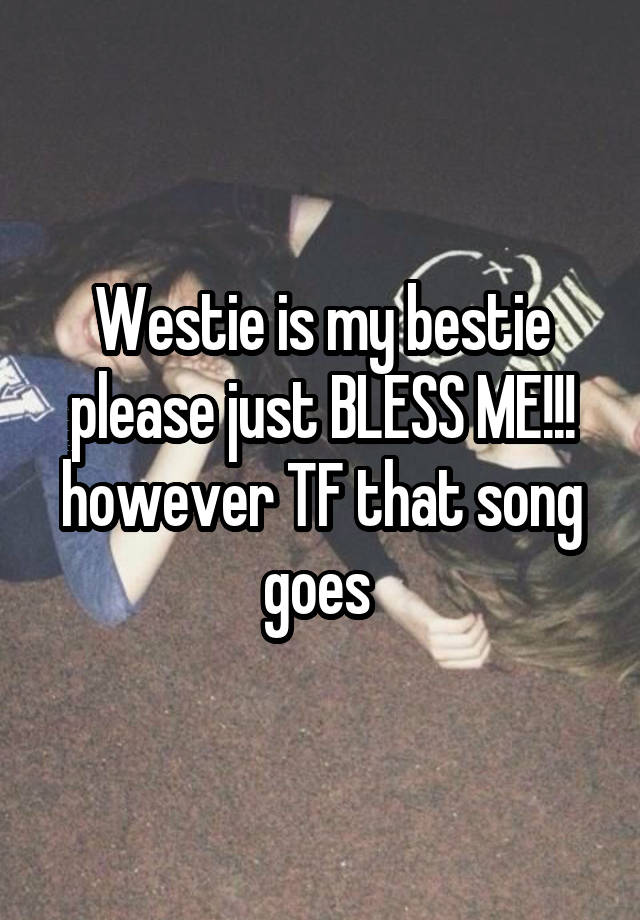 Westie is my bestie please just BLESS ME!!! however TF that song goes 