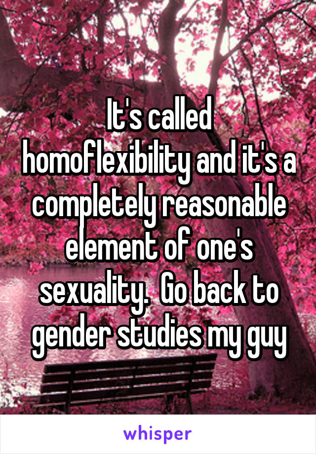 It's called homoflexibility and it's a completely reasonable element of one's sexuality.  Go back to gender studies my guy