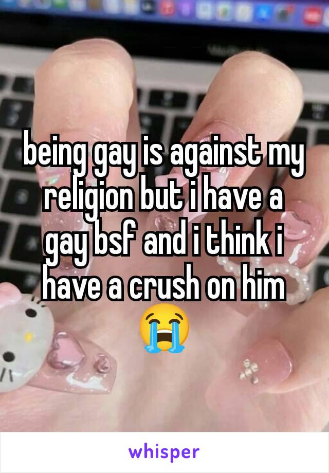 being gay is against my religion but i have a gay bsf and i think i have a crush on him 😭