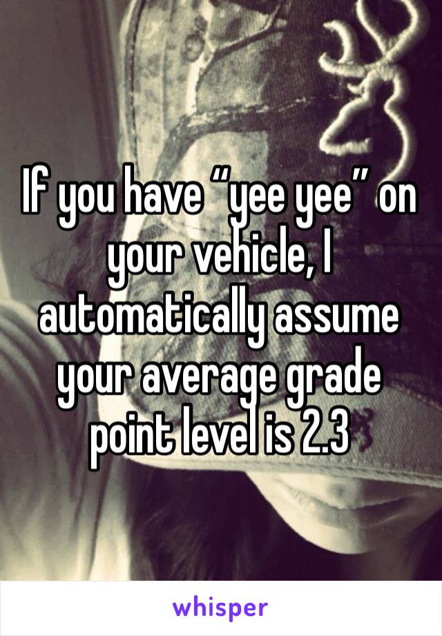 If you have “yee yee” on your vehicle, I automatically assume your average grade point level is 2.3 