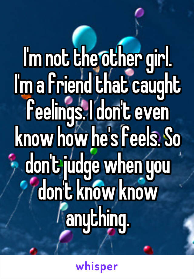 I'm not the other girl. I'm a friend that caught feelings. I don't even know how he's feels. So don't judge when you don't know know anything.