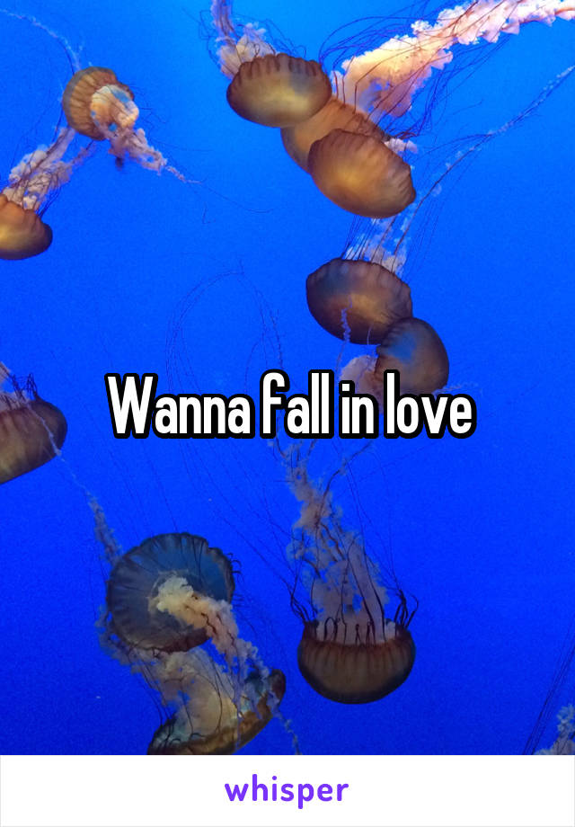 Wanna fall in love