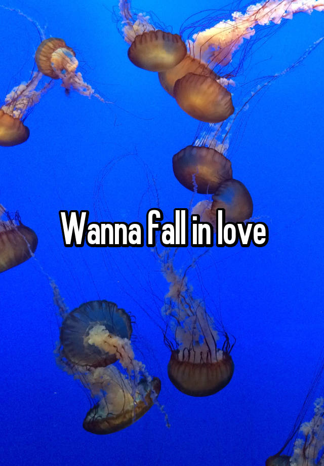 Wanna fall in love